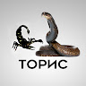 Topuc