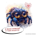 modul_nod