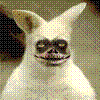 _XPEH_
