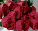 Roze