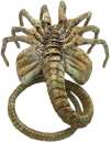 Raszagal