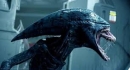 ALIEN66