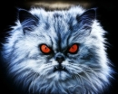 Fomakin