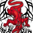 DruidVPA
