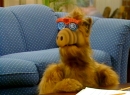 alf-