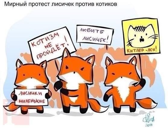 Прикреплённая картинка