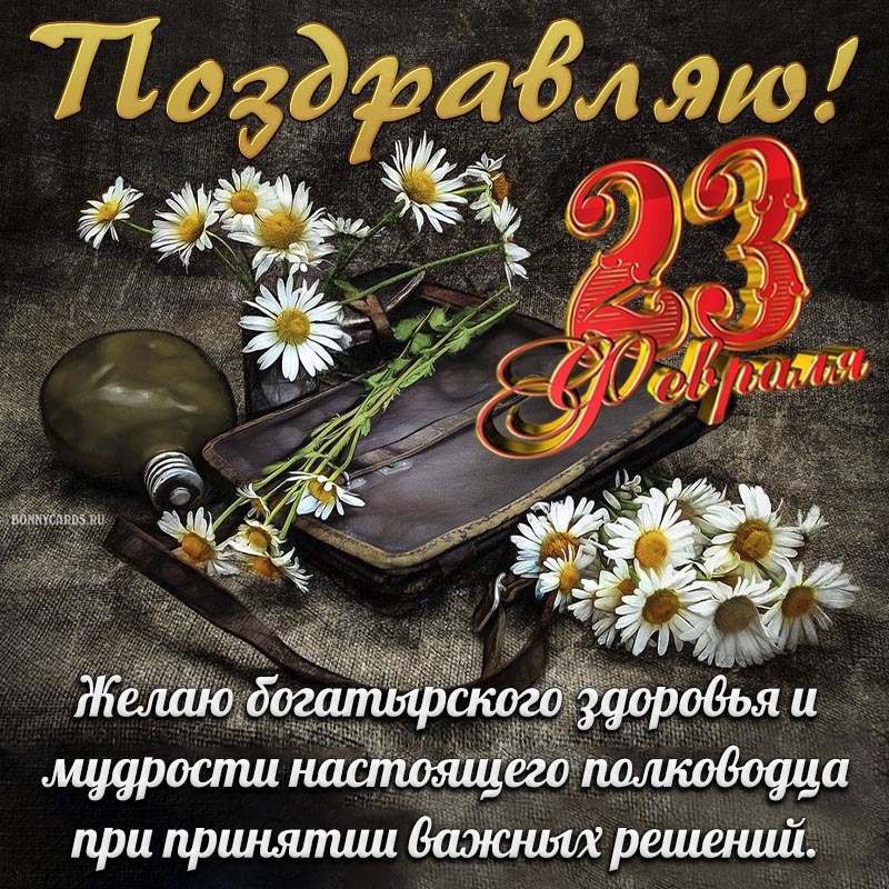 Прикреплённая картинка