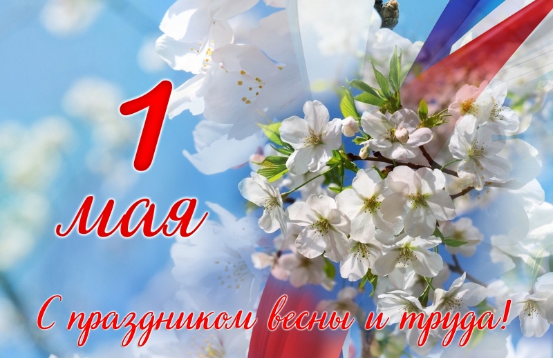 Прикреплённая картинка