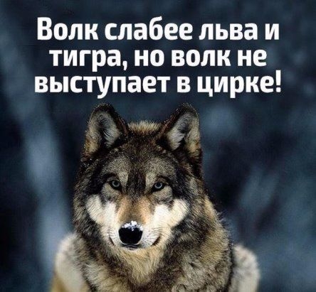 Прикреплённая картинка